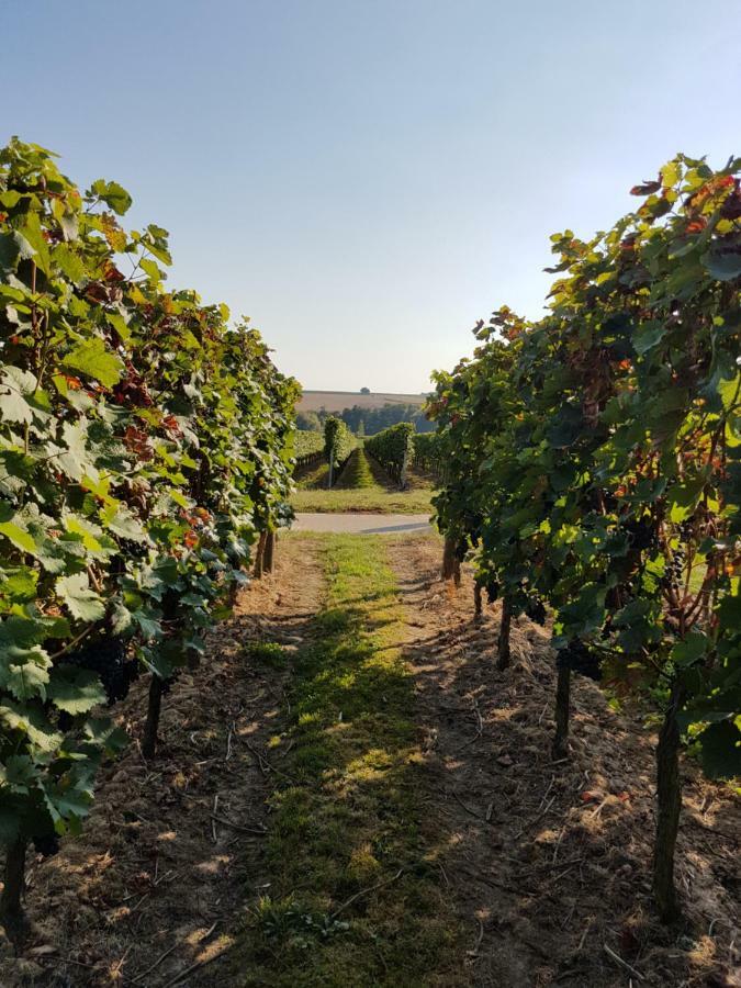 Weingut & Gaestehaus Nagel Kapellen-Drusweiler المظهر الخارجي الصورة