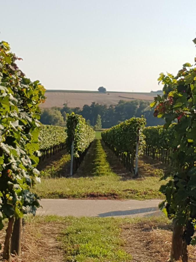 Weingut & Gaestehaus Nagel Kapellen-Drusweiler المظهر الخارجي الصورة